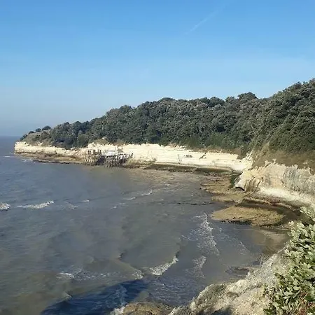 Les Soleils De Pontaillac *